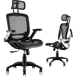desk chairs ergonomic