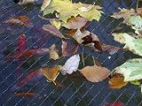 Blagdon Clearview Pond Cover Netting 3m x 2m Black Double Weave 6 Pegs view 4