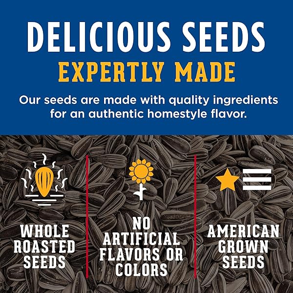 DAVID JUMBO SUNFLOWER SEEDS, ORIGINAL FLAVOR, 16 OZ.