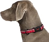 Halti Dog Collar Premium Comfy Nylon Neoprene Purple Size M view 4