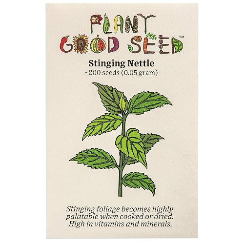 tall potted plant voelk-art-plants-house-plants-default-title-10-inch-pot-3-5-ft-tall -with-pole-giant-hawaiian-pothos-plant-get-them-just-like-the-picture-in-usa- main image 0