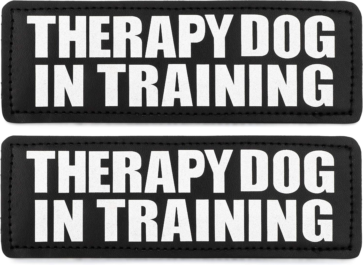 golden retriever price in galiff street