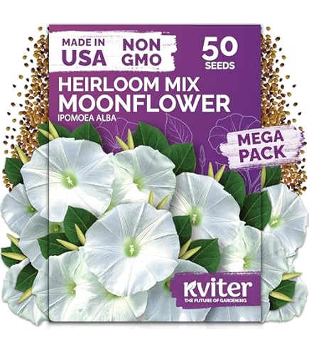 Amazon.com : Fragrant Moonflower Bush! 20 Seeds ! This Will Slow
