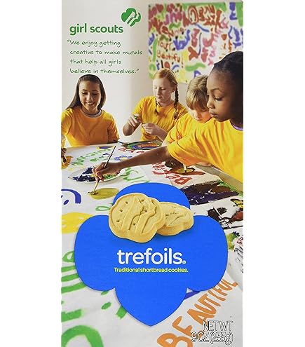Amazon.com : Girl Scout Cookies Lemon-Ups - New Cookie for 2020