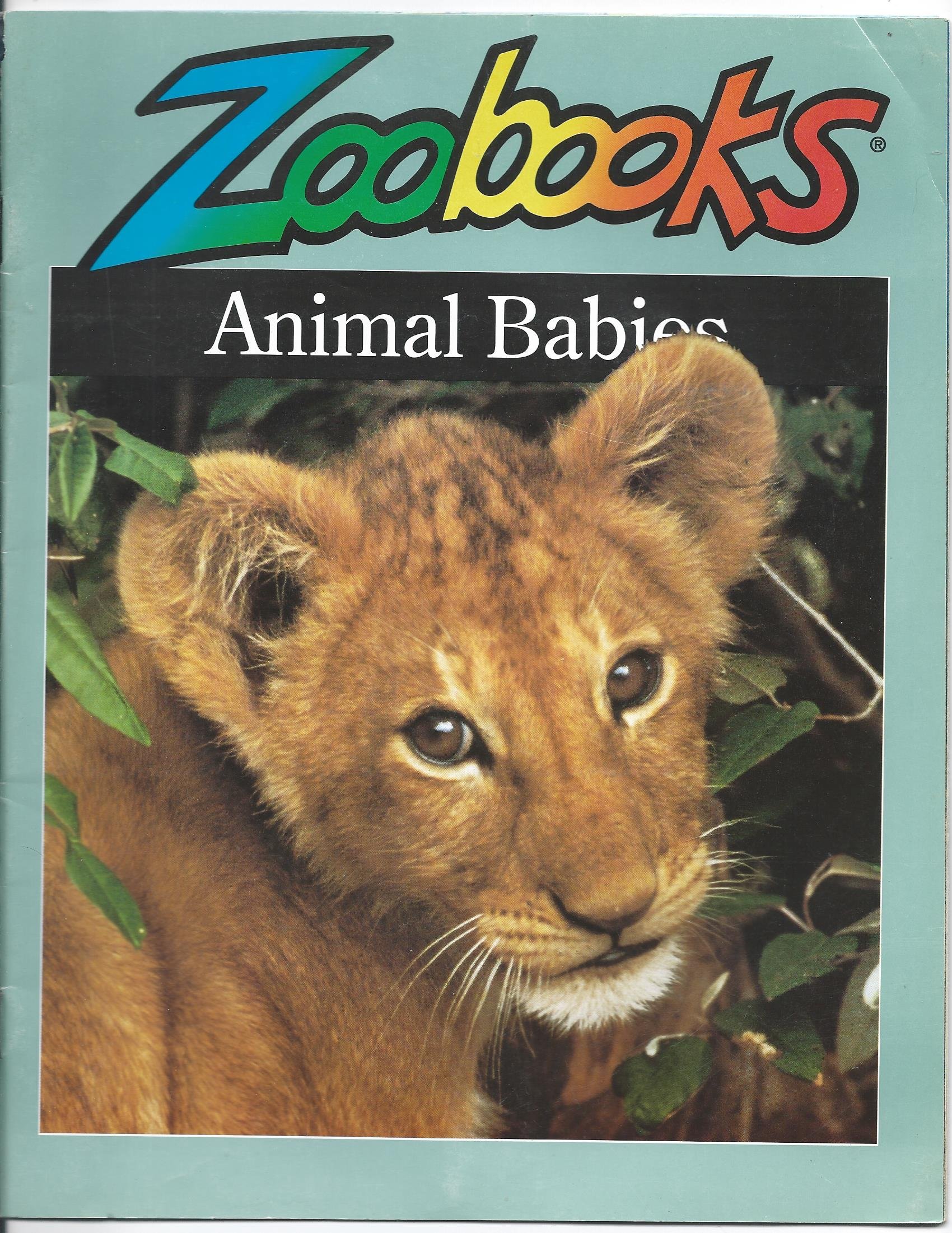 Animal Babies Zoobooks Series John Bonnett Wexo - 