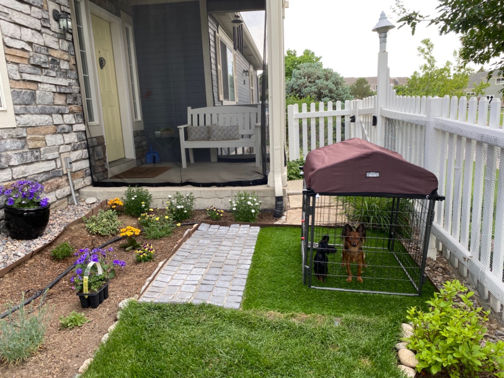 27/mo Finance My Pet Companion 8'*4'*5' Dog Kennel Large Dog Crate