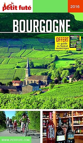 Download Petit Futé Bourgogne PDF
