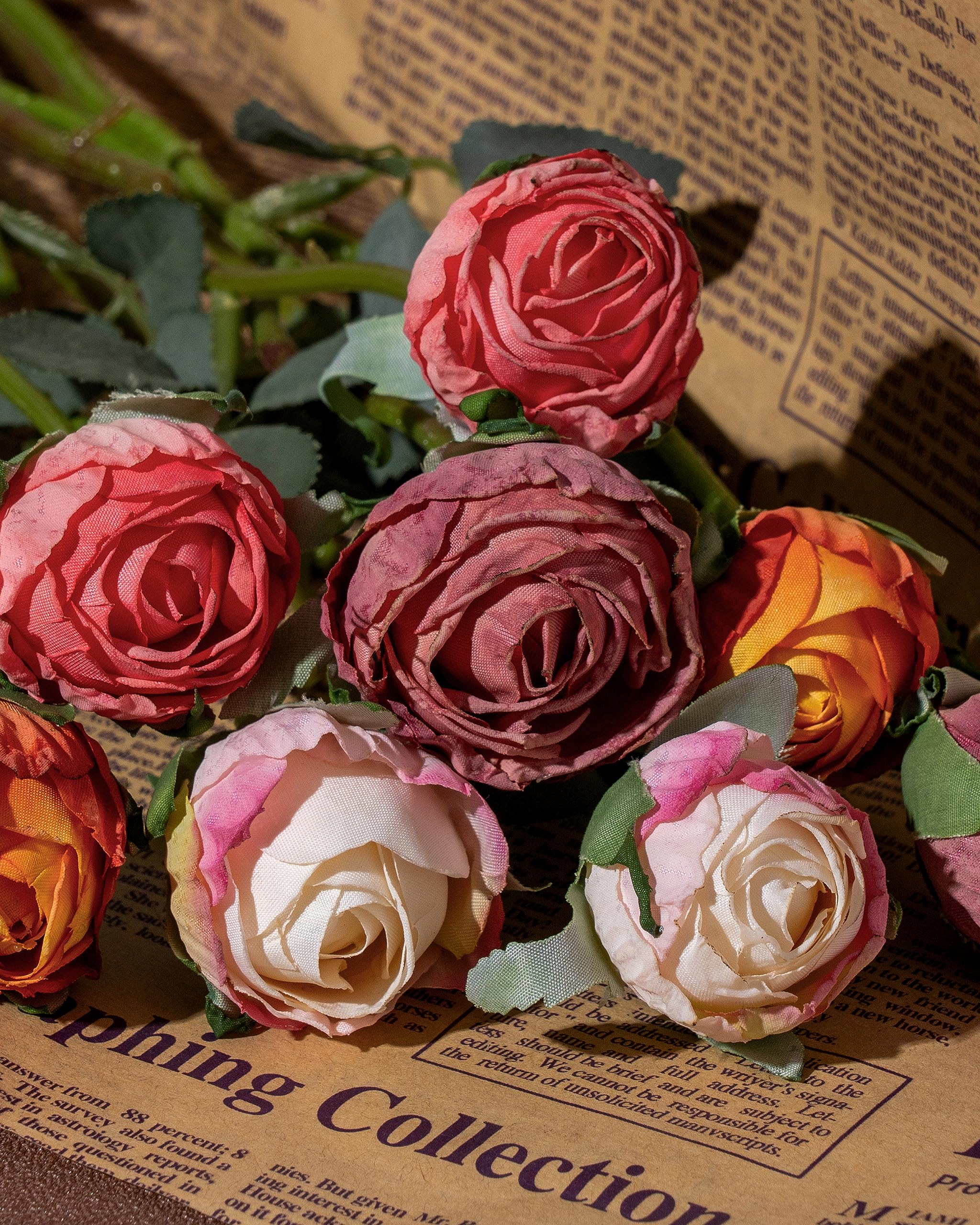 View 6