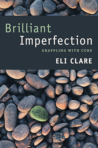 Download Brilliant Imperfection: Grappling with Cure (English Edition) PDF