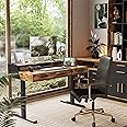 ModernMate Standing Desk with 3 Drawers, 48 x 26 Inches Height Adjustable Desk with Monitor Shelf, Electric Stand Up Desk with Storage for Home and Office, Rustic Brown