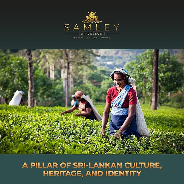 SAMLEY CEYLON – CEYLON BLACK TEA LOOSE LEAF – PREMIUM BOP1 GRADE FROM SRI LANKA – ROBUST FLAVOR WITH GOLDEN ORANGE INFUSION – LOOSE LEAF BLACK TEA CAFFEINATED 1.8OZ SAMLEY