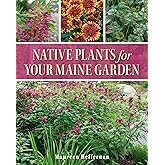 Native Plants for Your Maine Garden