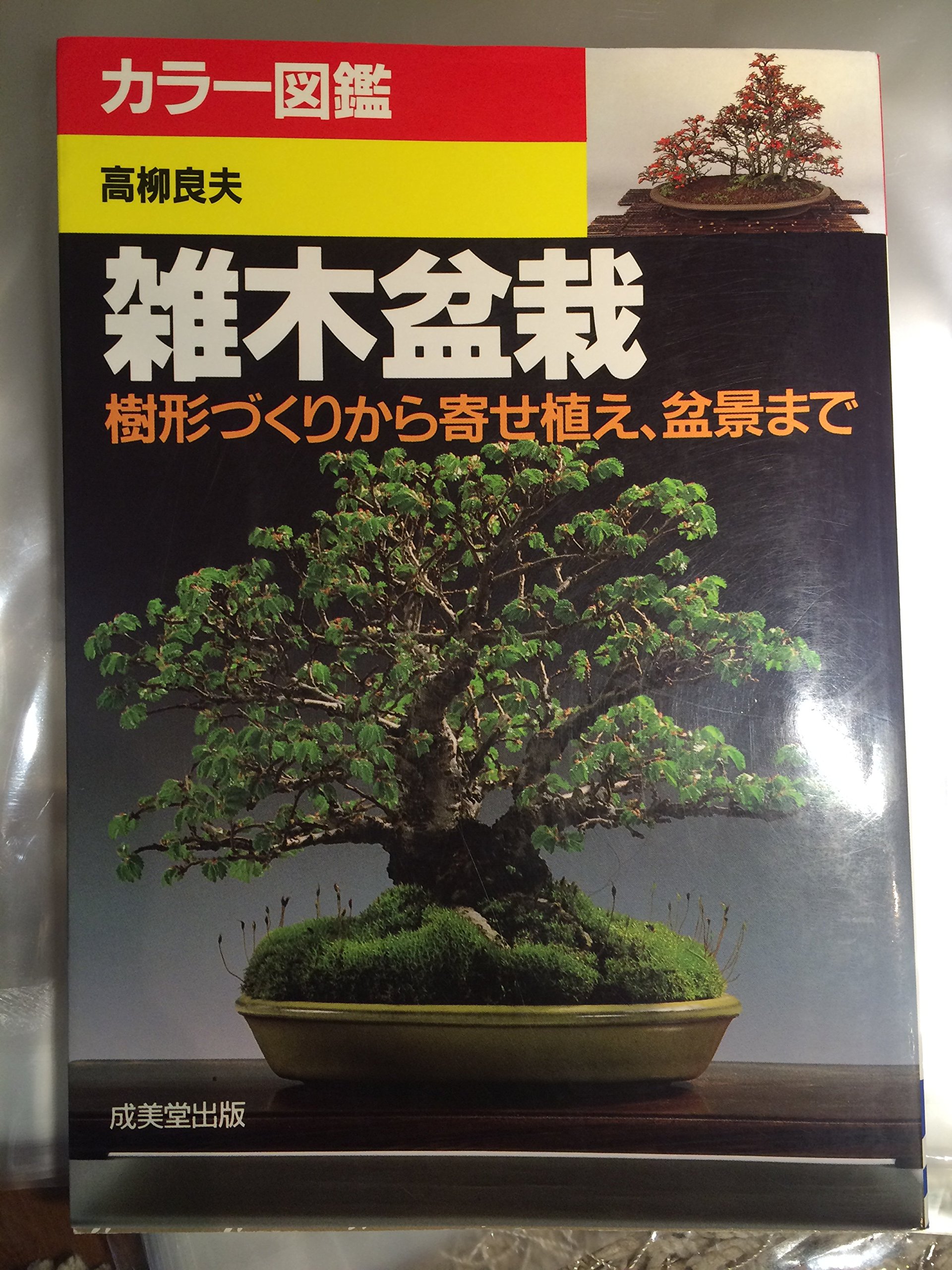 カラー図鑑 雑木盆栽 樹形づくりから寄せ植え 盆景まで Amazon Com Books