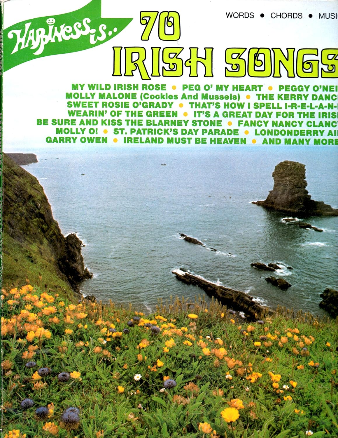 Amazon Com Happiness Is 70 Irish Songs Office Products