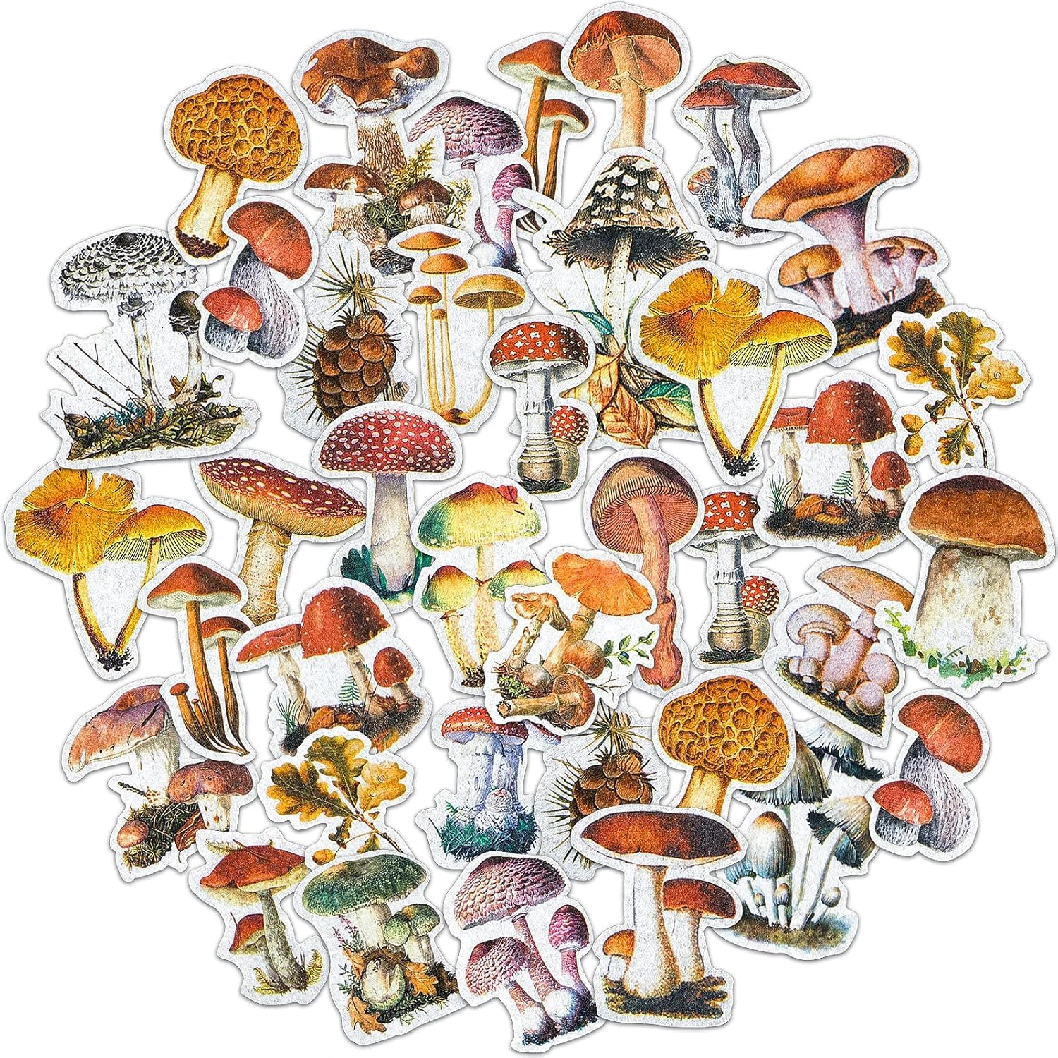 Photo 1 of 120 Pieces Mushroom Stickers Decals Mushroom Plants Theme Stickers Self Adhesive DIY Scrapbook Supplies for Laptop Water Bottles Skateboard Windows Refrigerator DIY Crafts Decoration, 2 Packs