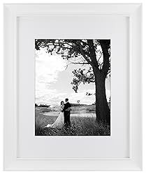 MCS 16x20 Inch Archival Frame with 11x14 Inch Mat