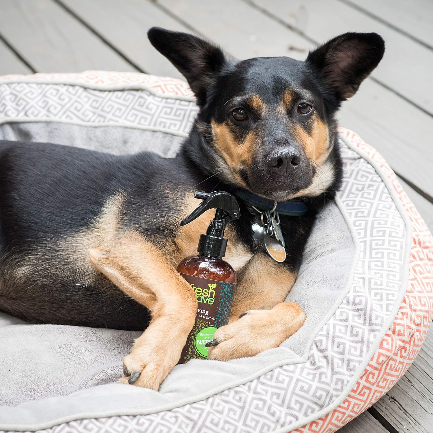 Fresh Wave Odor Eliminator Spray & Air Freshener, 8 fl. oz, Natural Ingredients (Pack of 2): Home & Kitchen