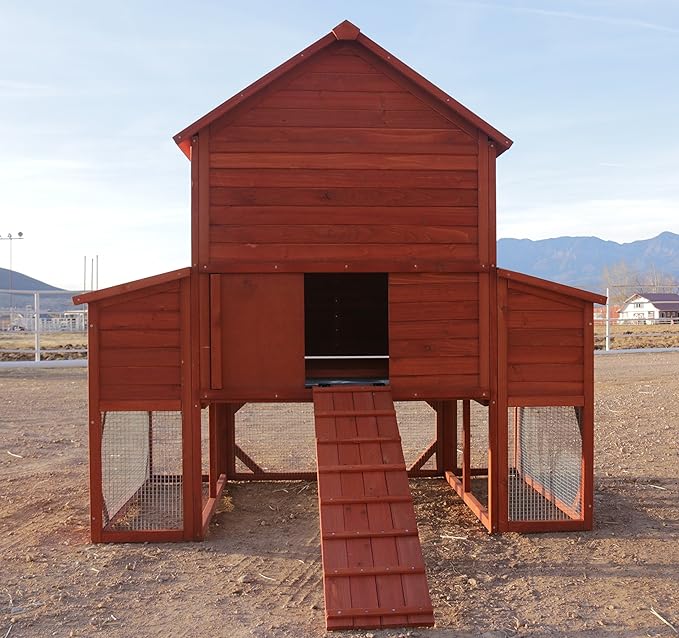 The Chicken Coop Company Chicken Coop Specializes In Chicken Huts And Quality Coops