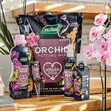 Westland Orchid Feed Concentrate 200ml view 4