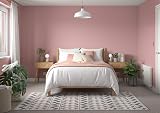 Dulux Simply Refresh Tester Paint Pressed Petal 30ML view 5