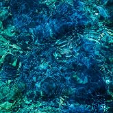 Luminescent Creatures