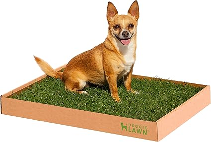 dog toilet real grass