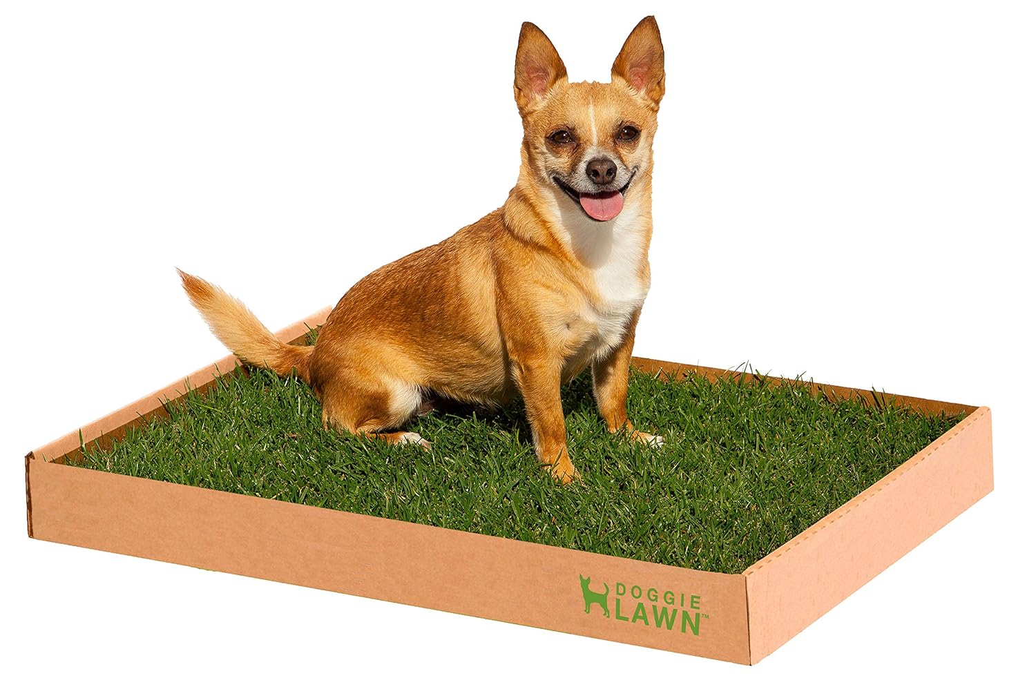 DoggieLawn Real Grass Dog Potty (Disposable)