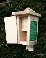 Wildlife World Original Bat Box OBB Two Chamber FSC Timber Garden Woodland Wall view 3
