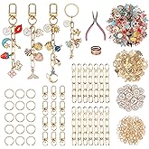 Starry 348Pcs Keychain Making Kit Bag Charm Kit 126 Charms 20 Keychain Clips with Key Ring Jewelry Plier,30 Extender Chain Swivel Snap Hooks Gold Charms 150 Jump Ring DIY Craft Supplies
