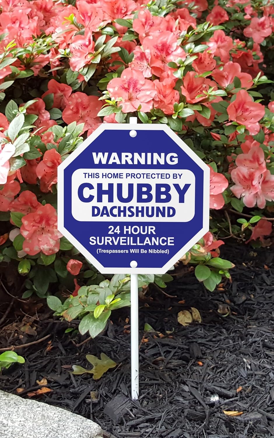 Best Alarm For Garden Statue