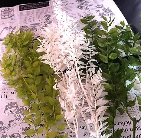 Amazon めぐみ工房 北海道ドライフラワー ブリザード ハーバリウム ラスカス３色セット プリザーブドフラワー プリザーブドフラワー オンライン通販