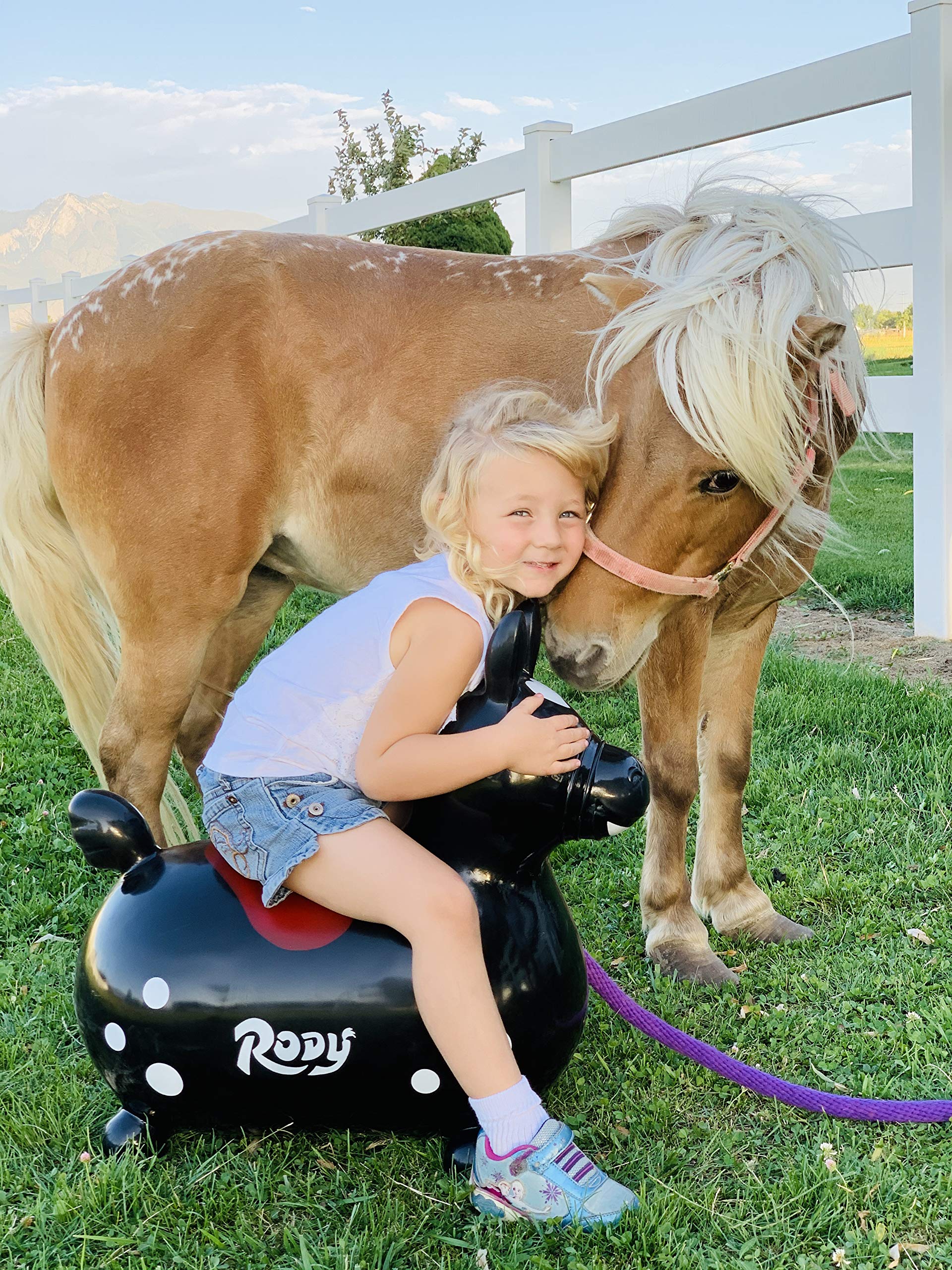 GYMNIC Rody Bounce Horse Black