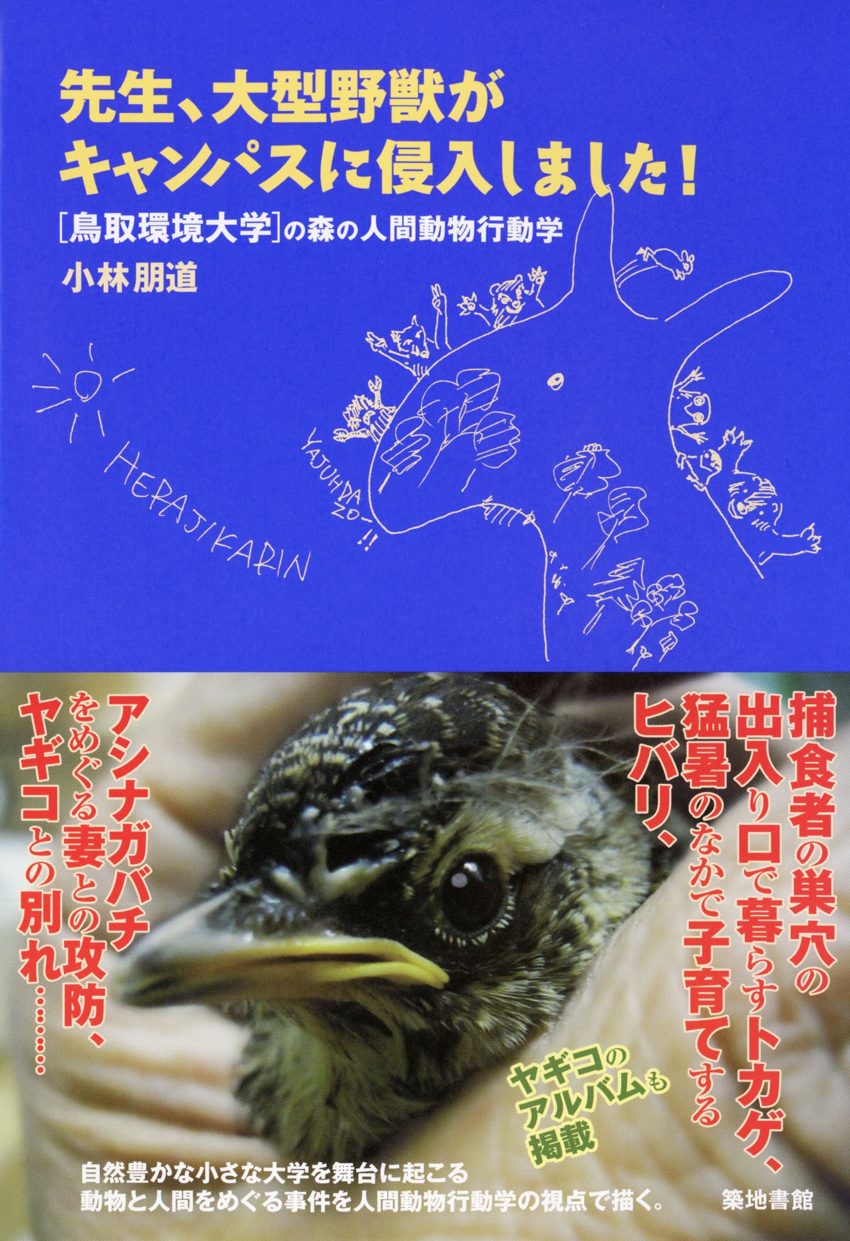 Sensei Oi Gata Yajui Ga Kyanpasu Ni Shinnyui Shimashita Tomomichi Kobayashi Amazon Com Books