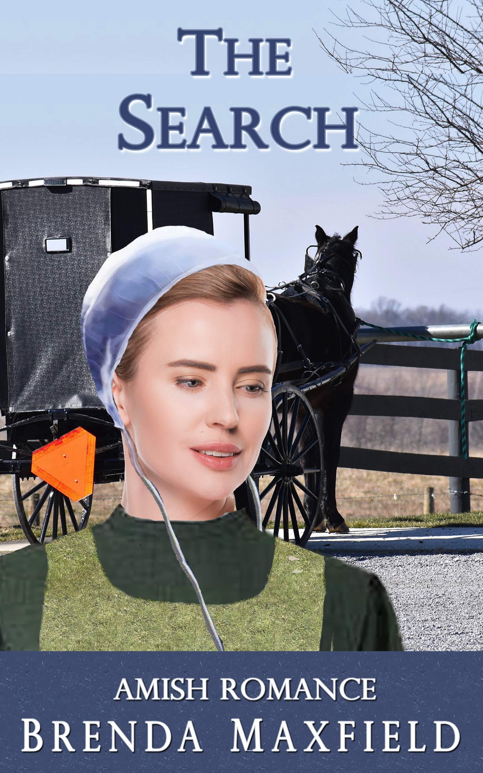 Pdf Telecharger The Search Rebecca S Story Book 2 By Brenda Maxfield Epub Ebook Musicalspirit Torrenatisonegal It