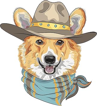 corgi with cowboy hat