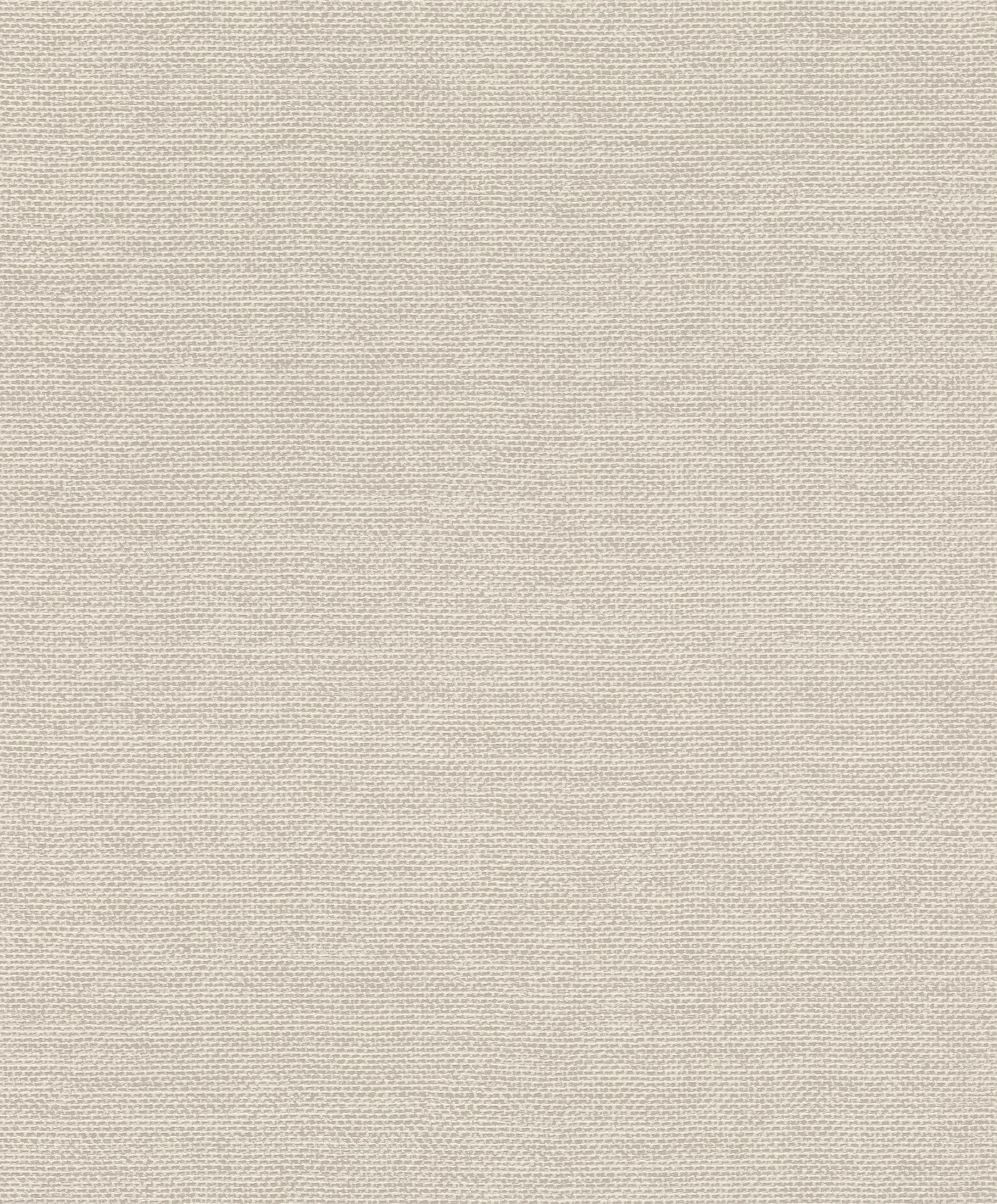 Rasch Wallpaper 312140 Plain Non-Woven Wallpaper in Light Grey from The Color Your Life Collection 10.05 m x 0.53 m (L x W)