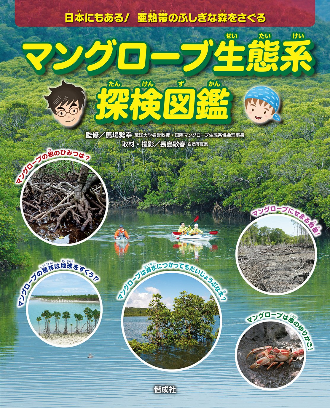 マングローブ生態系探検図鑑 馬場 繁幸 長島 敏春 長島 敏春 本 通販 Amazon マングローブ生態系探検図鑑 馬場 繁幸 長島 敏春 長島 敏春 本 通販 Amazon