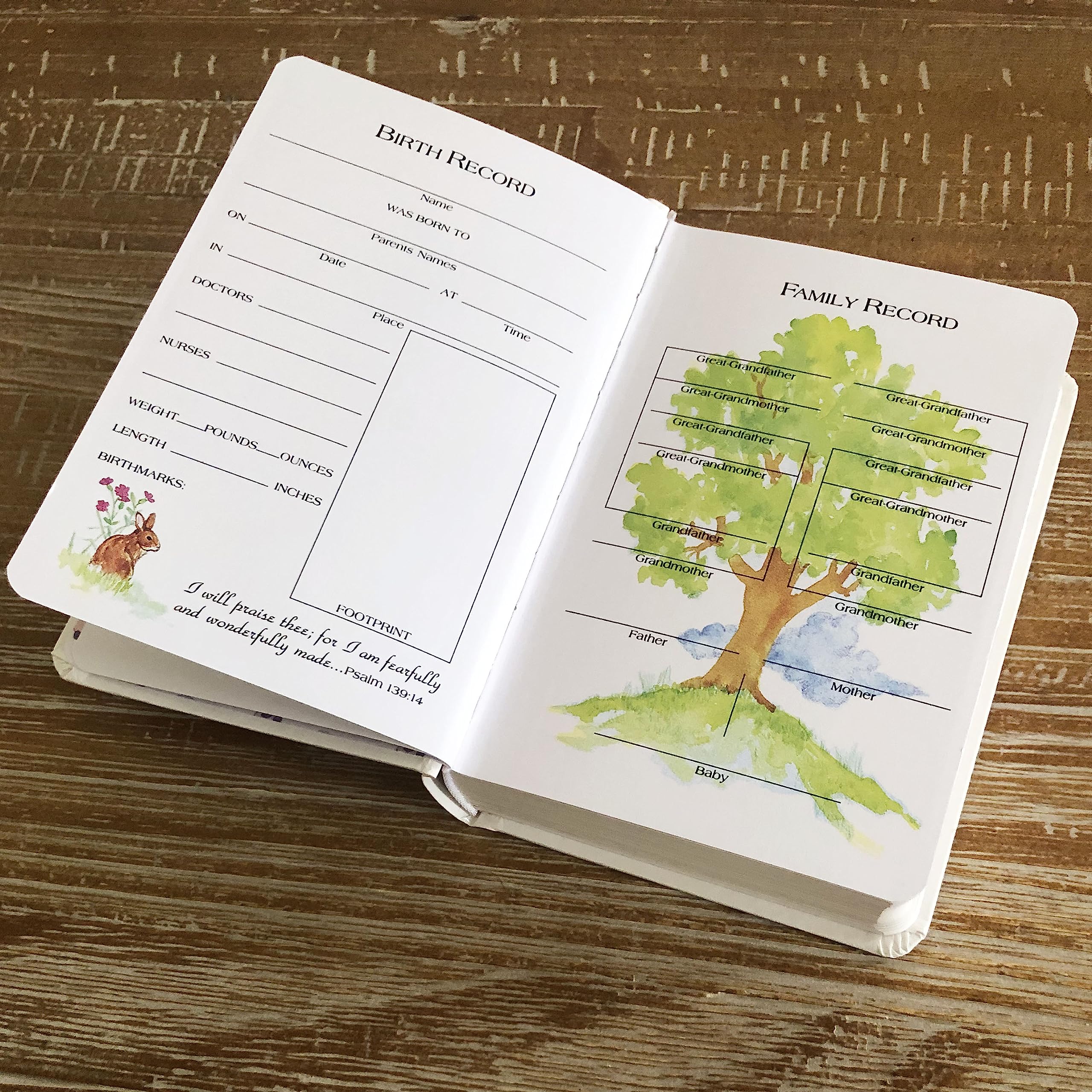 KJV Baby’s First Bible, Hardcover: Holy Bible King James Version