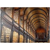 500-Piece Jigsaw Puzzle – Books In The Long Room Library, Trinity College Dublin (Premium Adult Puzzle) - View #7