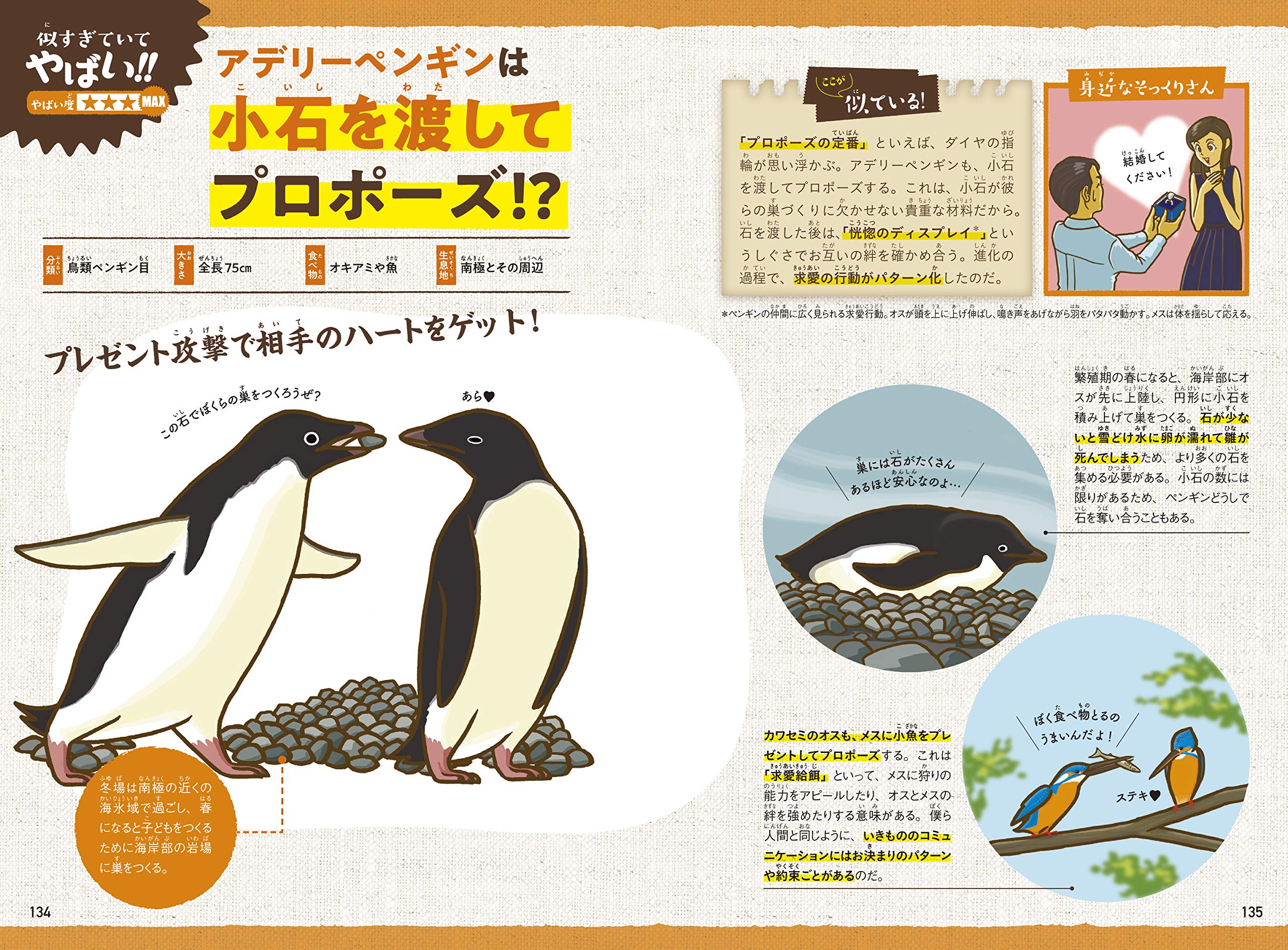 Sale 公式通販 直営店限定 新品 本 くらべてみよう 人と動物のからだ 5巻セット 今泉忠明 監修 上質風合い Www Iacymperu Org