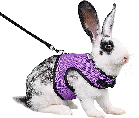 large rabbit harness