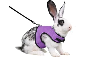 Niteangel Adjustable Soft Harness with Elastic Leash for Rabbits (L, Purple)