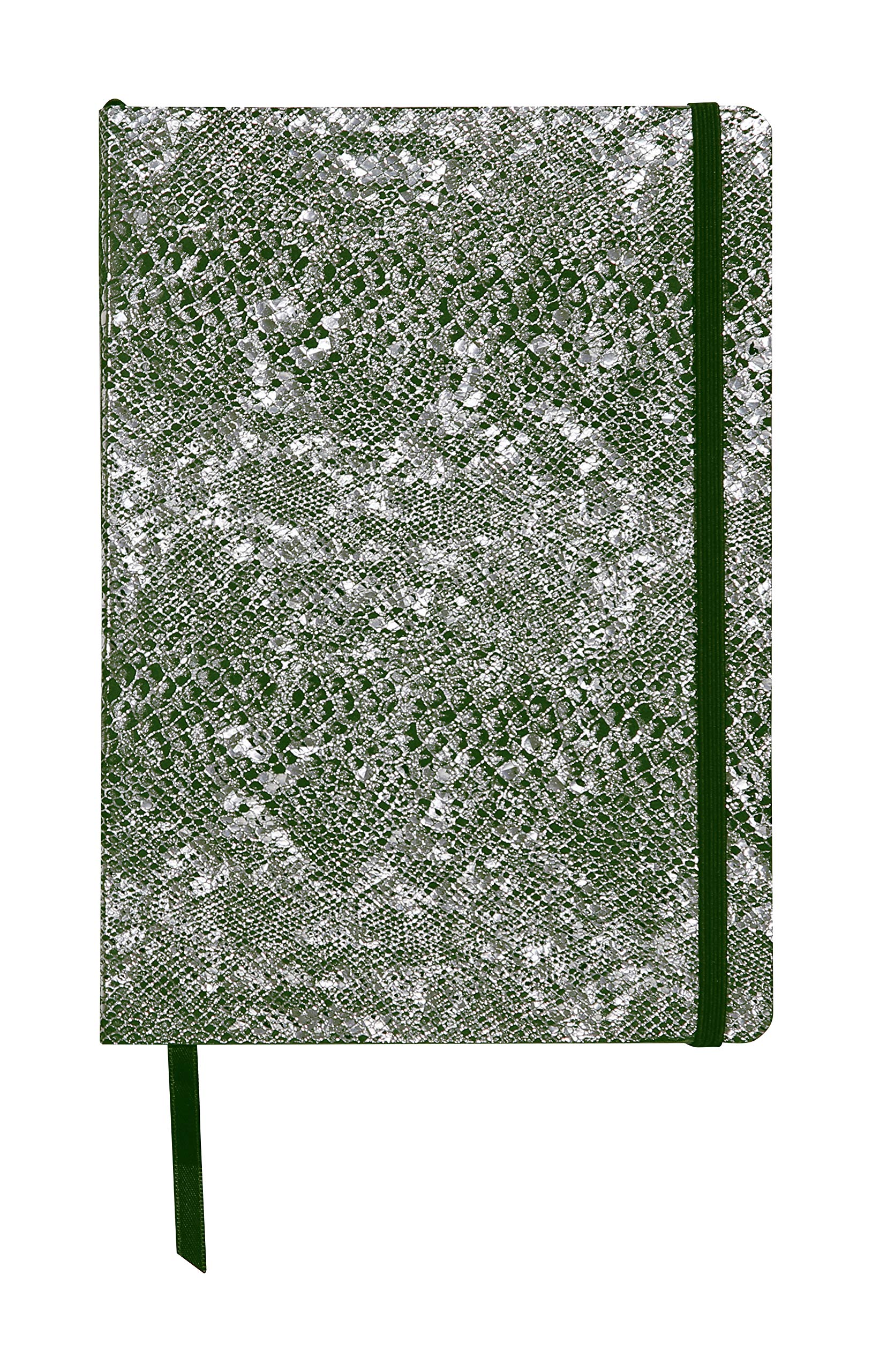 Clairefontaine 400122C - One A5 Notebook - Made of Genuine Lambskin Leather Hard Cover - Dimensions: 14.8x21 cm - 144 Ruled Pages, Green and Silver Celeste