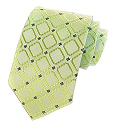Elfeves Men's Green Checks Woven Silk Tie Spring