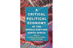 A Critical Political Economy of the Middle East and North Africa (Stanford Studies in Middle Eastern and Islamic Societies an