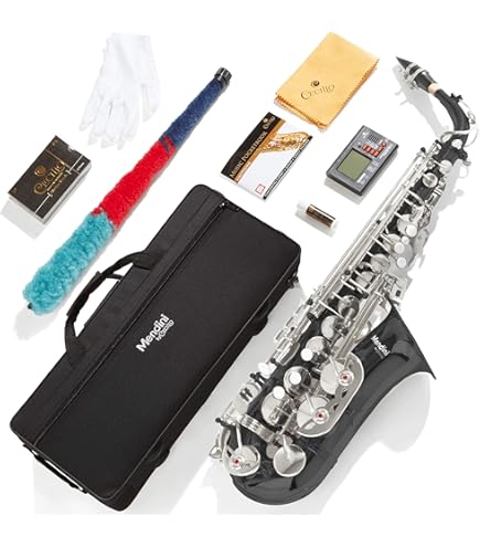 【電子サックス】Roland Aerophone　AE-10G Roland Aerophone AE-10G | Sax world