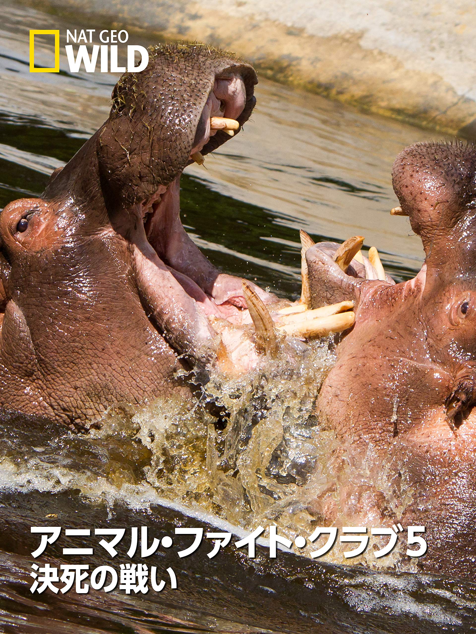 Amazon Co Jp アニマル ファイト クラブ５ 決死の戦いを観る Prime Video