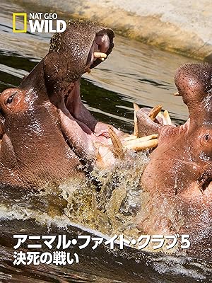 Amazon Co Jp アニマル ファイト クラブ５ 決死の戦いを観る Prime Video