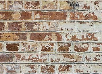 Home Decor Line Cr 67249 Old Bricks Kitchen Panel Amazon Com