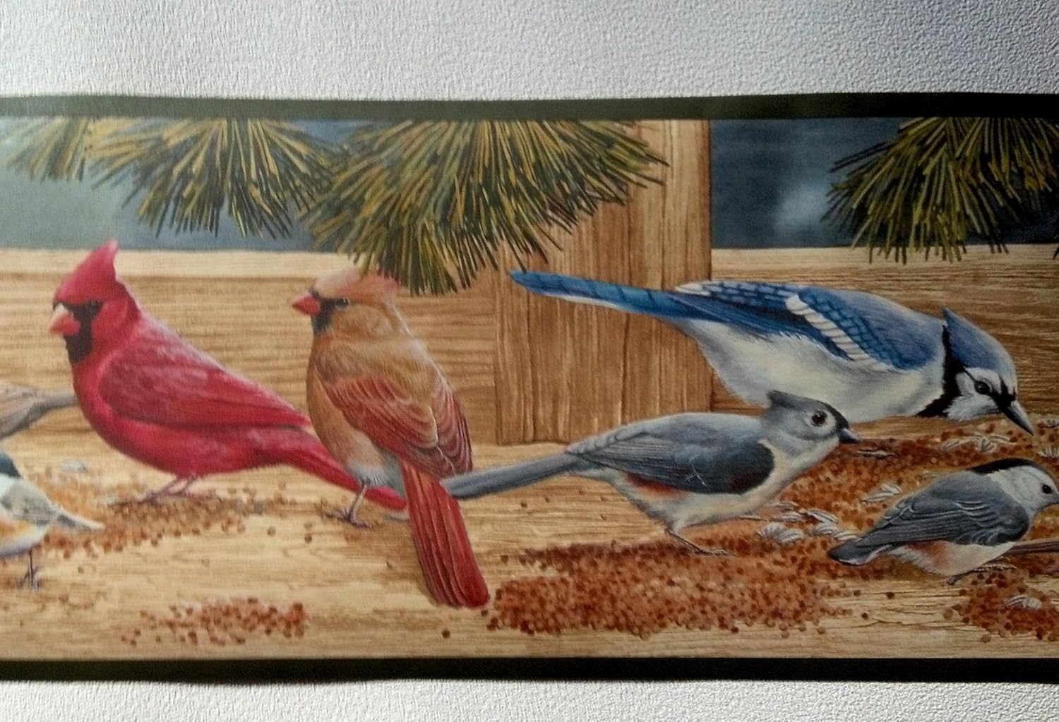 Winter Birds Wallpaper Border Cardinals Blue Jays Woodpeckers Wallpaper Borders Free Delivery And Returns Www Klevering Com